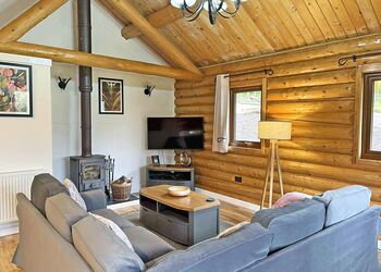 Michigan Lodge - Black Hall Lodges, Knighton