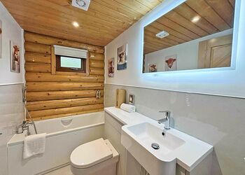 Michigan Lodge - Black Hall Lodges, Knighton