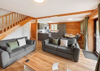 Helsinki Gold - Black Hall Lodges, Knighton