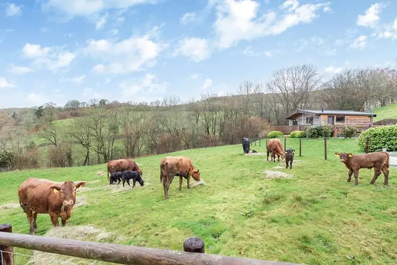 Black Hall Lodges, Knighton