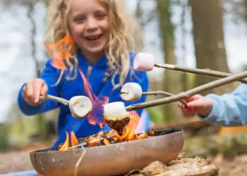 Blackwood Forest Lodges, Micheldever, Nr Winchester