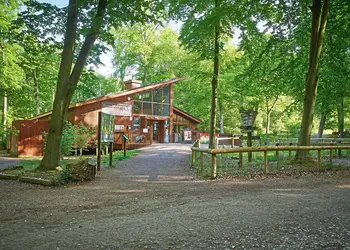 Blackwood Forest Lodges, Micheldever, Nr Winchester