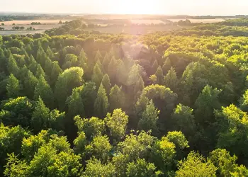 Blackwood Forest Lodges, Micheldever, Nr Winchester