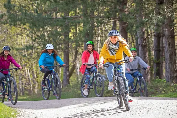 Blackwood Forest Lodges