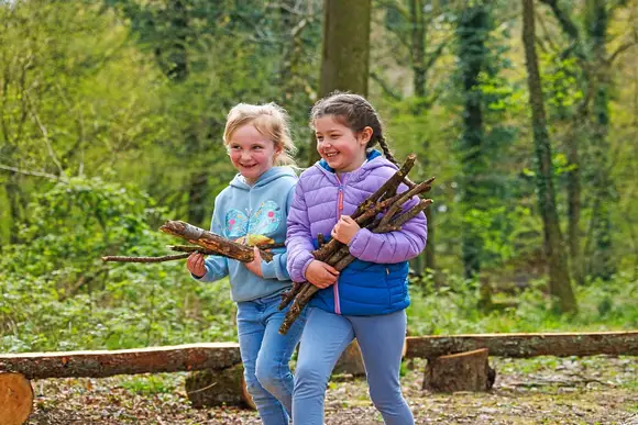 Blackwood Forest Lodges