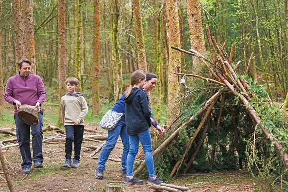 Blackwood Forest Lodges