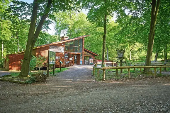 Blackwood Forest Lodges, Micheldever, Nr Winchester