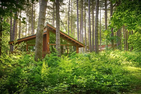 Blackwood Forest Lodges