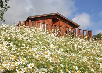 Hornbeam Country Park, Honiton