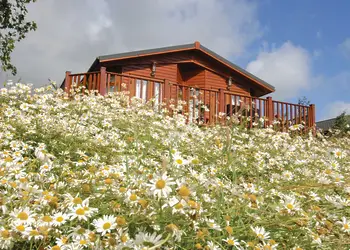 Hornbeam Country Park, Honiton