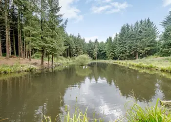 Hornbeam Country Park, Honiton