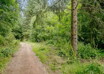 Hornbeam Country Park, Honiton