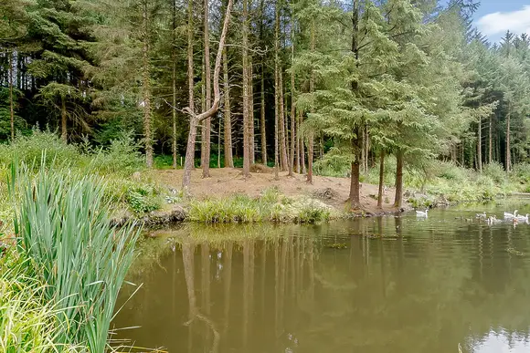 Hornbeam Country Park, Honiton