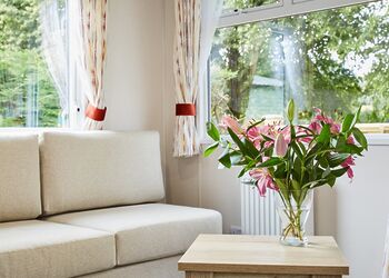 Comfort 2 Bedroom Caravan Hot Tub (Pet) - Braidhaugh Park, Crieff