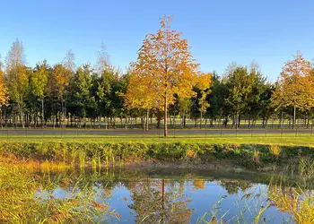 Bredon View, Pershore