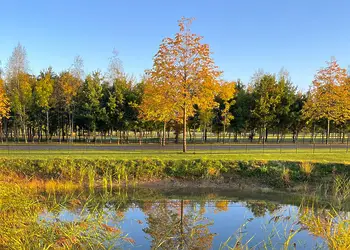 Bredon View, Pershore