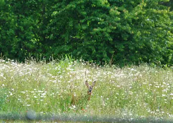 Bredon View, Pershore