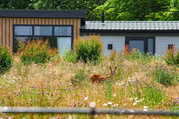 Bredon View, Pershore