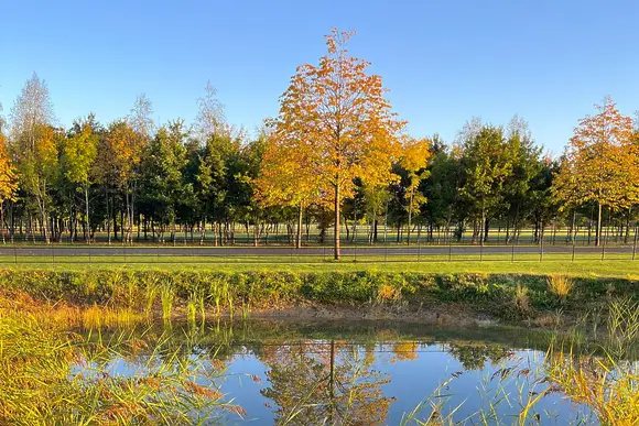 Bredon View, Pershore