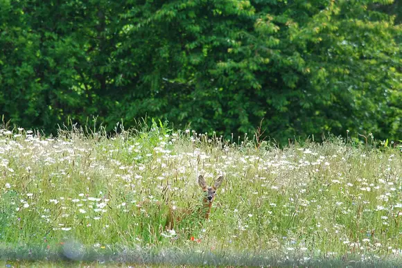 Bredon View, Pershore