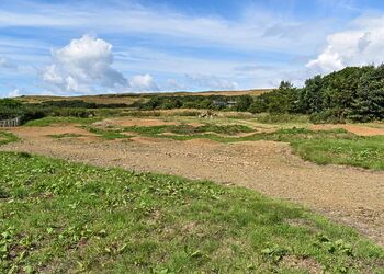 Brighouse Bay Holiday Park, Kirkcudbright