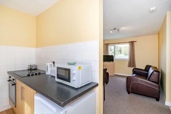Silver 2 Bedroom Apartment Pet - Brixham Holiday Park, Brixham, Torbay