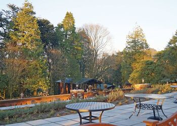 The park setting<br />