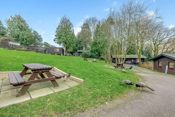 Brockwood Hall Lodges, Millom