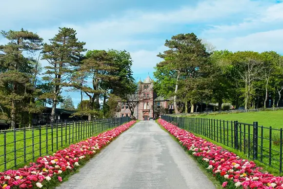 Brockwood Hall Lodges, Millom