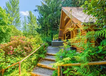 Bulworthy Forest Lodges, Webbery, Bideford