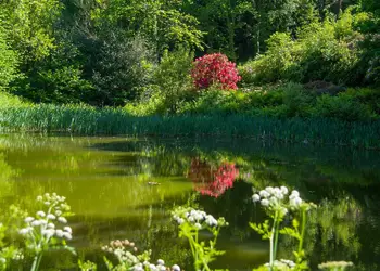 Bulworthy Forest Lodges, Webbery, Bideford