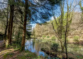 Bulworthy Forest Lodges, Webbery, Bideford