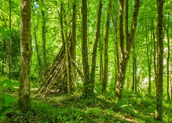 Bulworthy Forest Lodges, Webbery, Bideford