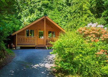 Acorn - Bulworthy Forest Lodges, Webbery, Bideford