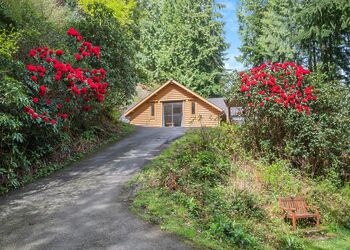 Chestnut - Bulworthy Forest Lodges, Webbery, Bideford