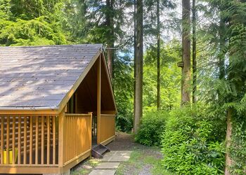 Chestnut - Bulworthy Forest Lodges, Webbery, Bideford