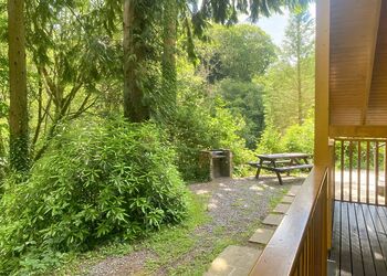 Chestnut - Bulworthy Forest Lodges, Webbery, Bideford