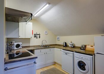 Chestnut - Bulworthy Forest Lodges, Webbery, Bideford