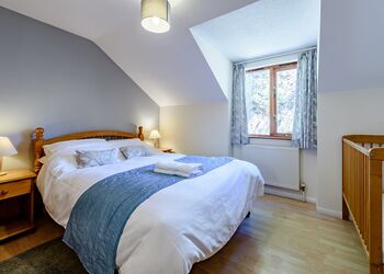 Chestnut - Bulworthy Forest Lodges, Webbery, Bideford