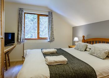 Chestnut - Bulworthy Forest Lodges, Webbery, Bideford