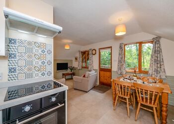 Sycamore - Bulworthy Forest Lodges, Webbery, Bideford