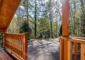 Larches - Bulworthy Forest Lodges, Webbery, Bideford