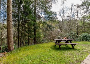 Larches - Bulworthy Forest Lodges, Webbery, Bideford