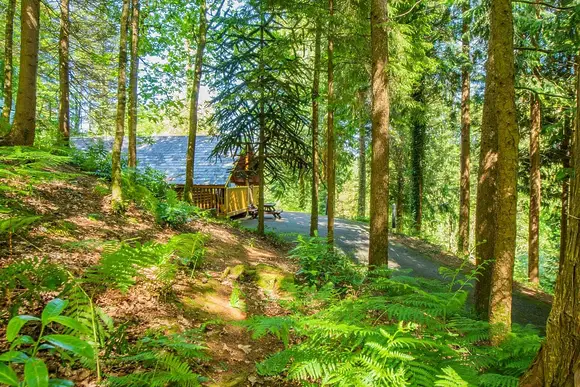 Bulworthy Forest Lodges, Webbery, Bideford