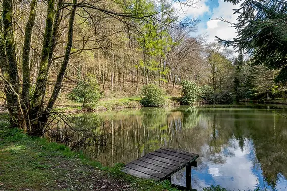 Bulworthy Forest Lodges, Webbery, Bideford