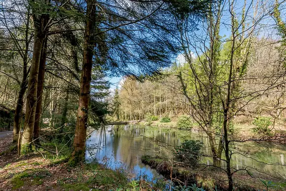 Bulworthy Forest Lodges, Webbery, Bideford