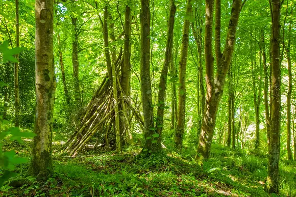 Bulworthy Forest Lodges, Webbery, Bideford