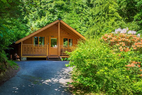 Acorn - Bulworthy Forest Lodges, Webbery, Bideford