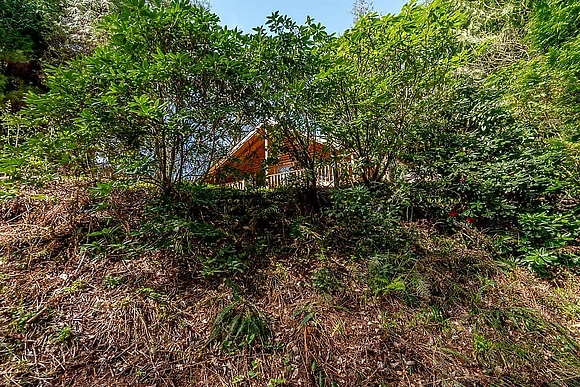 Acorn - Bulworthy Forest Lodges, Webbery, Bideford