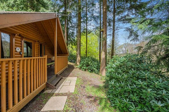 Chestnut - Bulworthy Forest Lodges, Webbery, Bideford
